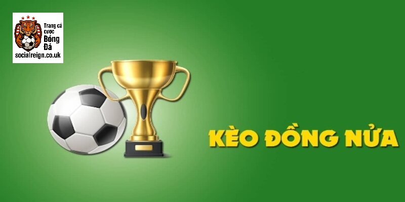 Kèo đồng nửa là gì? 5 mẹo chắc thắng và kinh nghiệm soi kèo từ chuyên gia